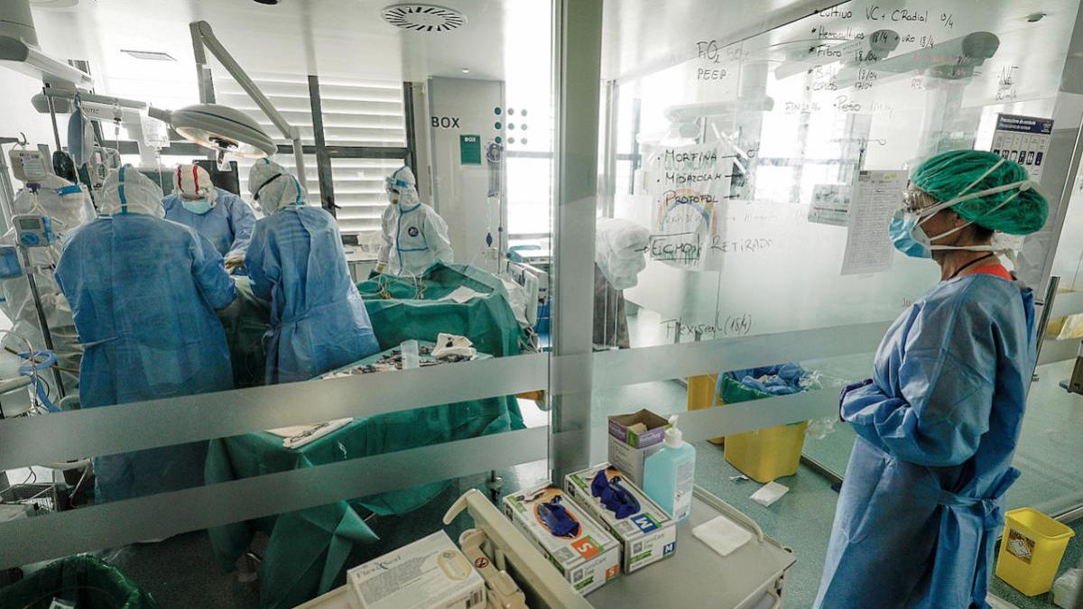 Nuevo récord de contagios por coronavirus en Baleares: 279 casos en 24 horas