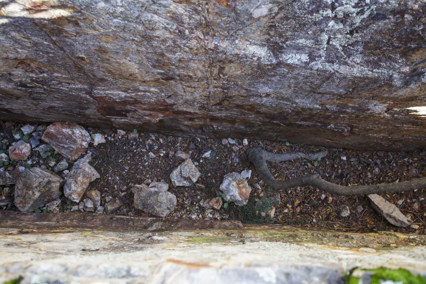 Fotogalería | Así es el desbautizadero de Hornachos