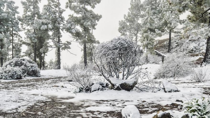 Nieva en la cumbre de Gran Canaria