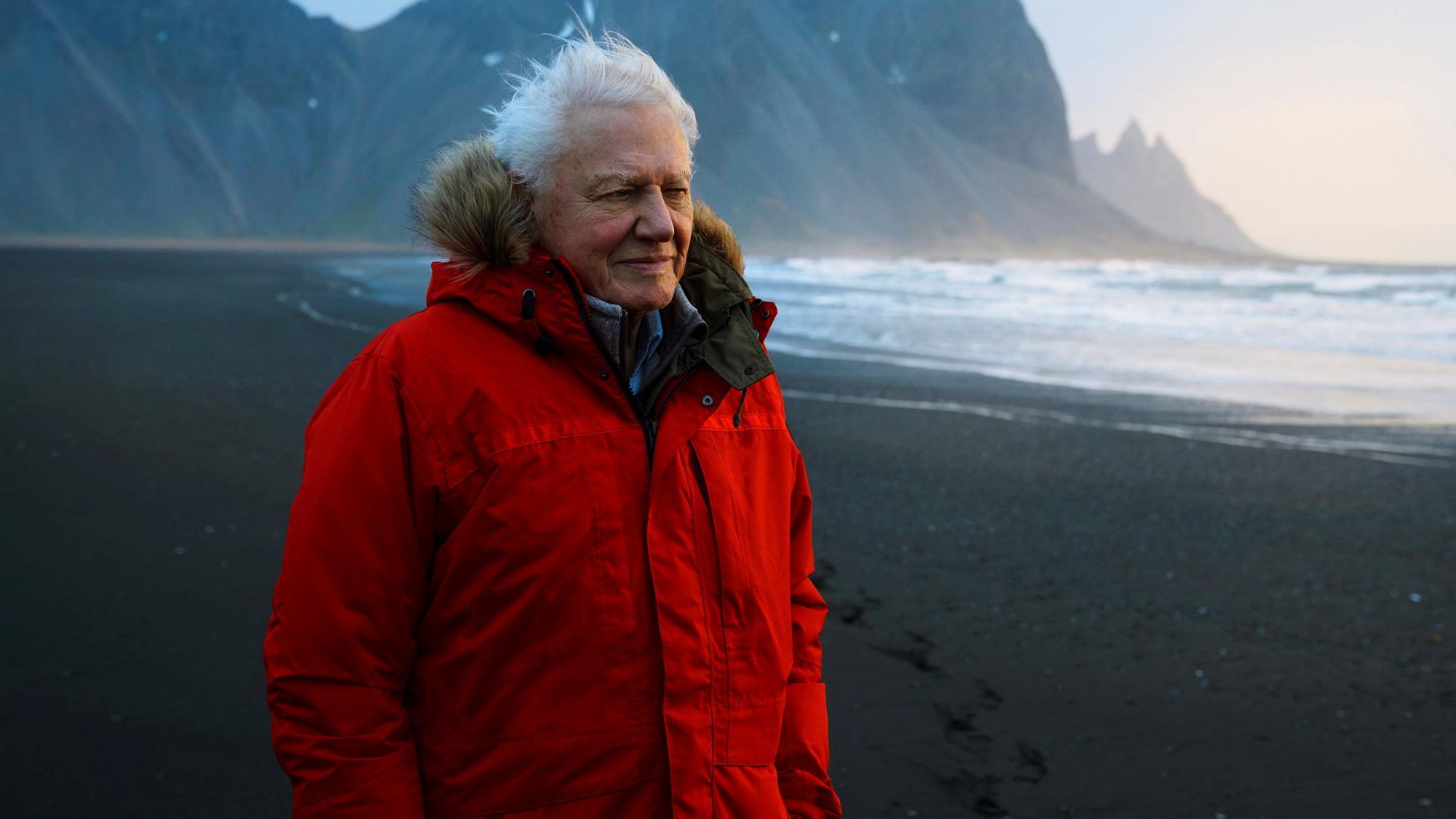 David Attenborough, en Islandia