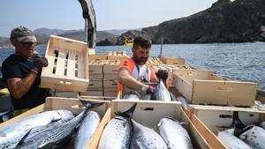 Imagen de archivo de pesca de atún en Murcia. La Unión Europea acuerda las posibilidades de pesca para 2026, con 143 días de capturas en el Mediterráneo.