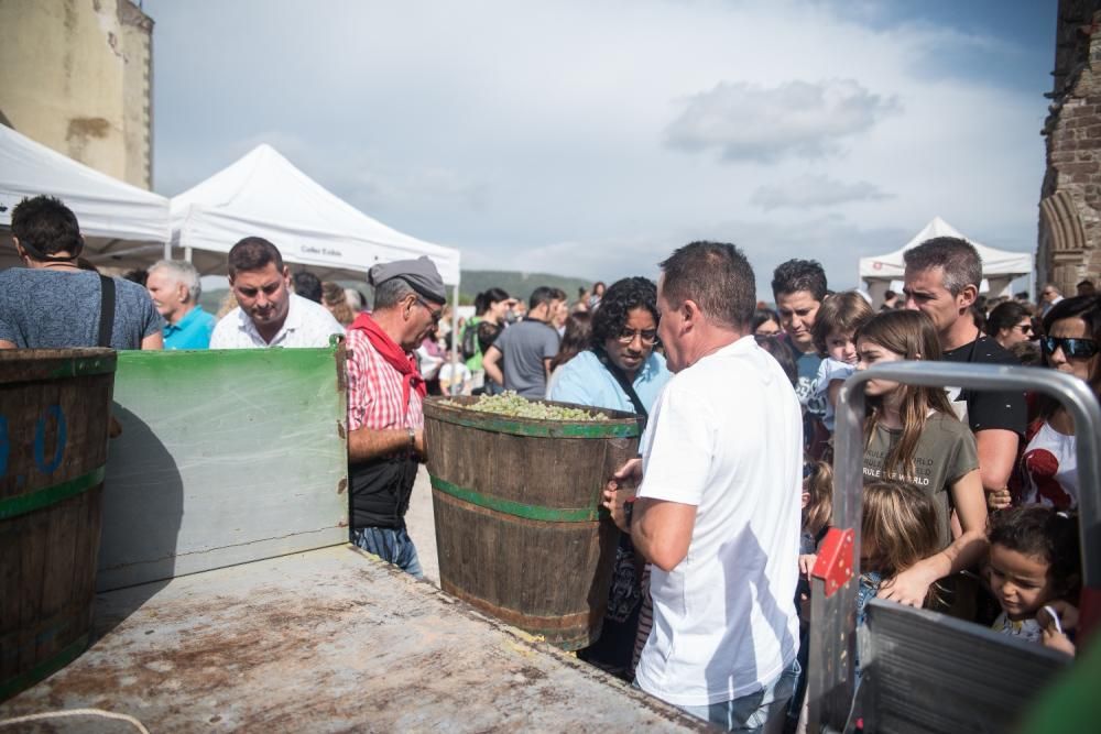 La Festa de la Verema del Bages