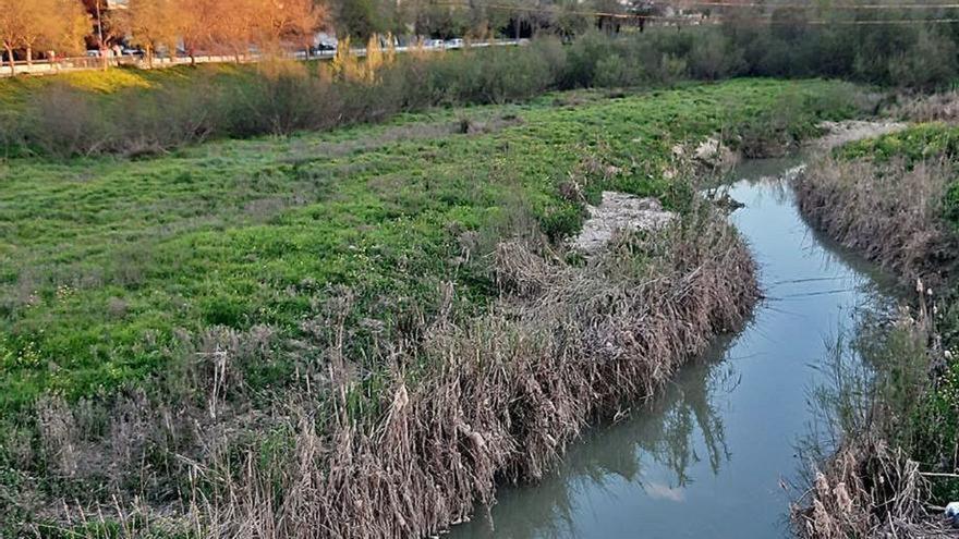 El cauce ecológico del Guadajoz se encuentra en riesgo alto