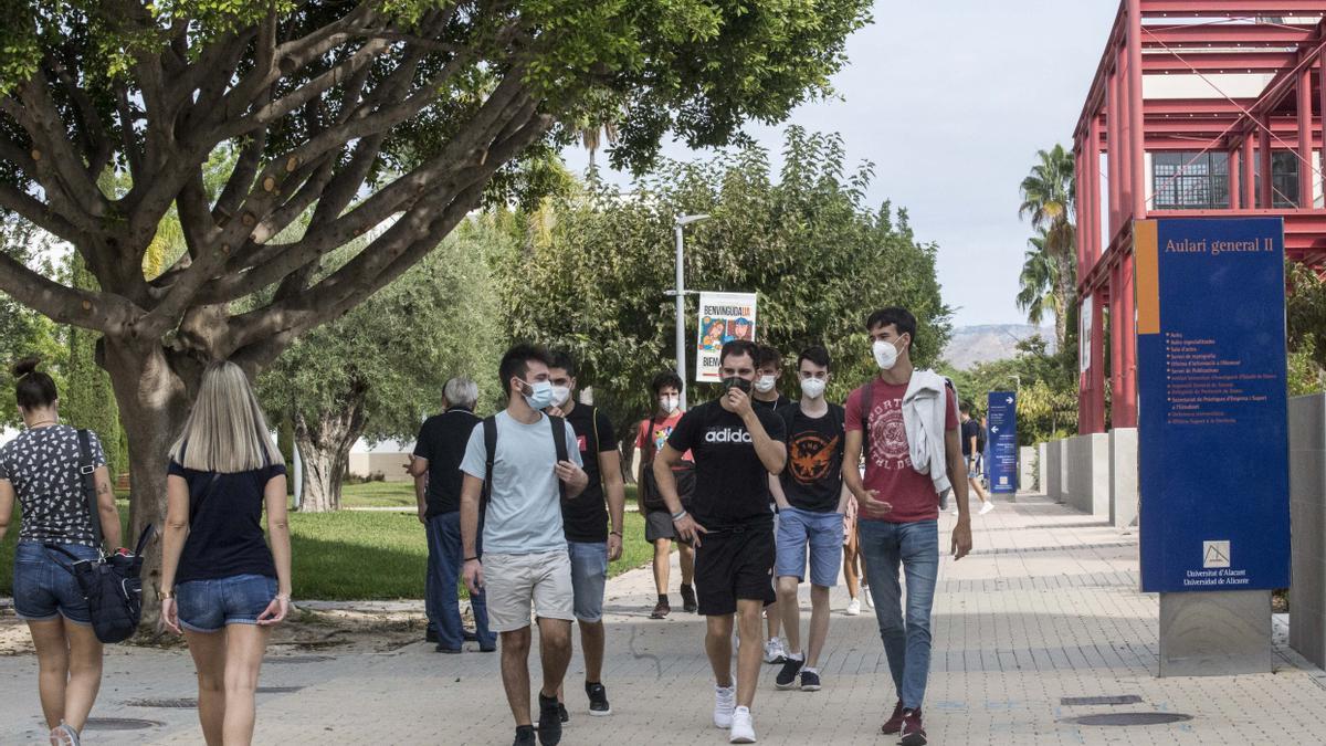 Estudiantes pasean por el campus de la UA