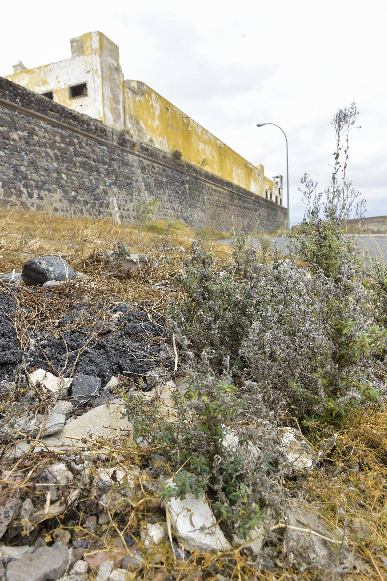 Castillo de San Francisco donde el Ayuntamiento capitalino hará limpieza de la zona y una prospección arqueológica