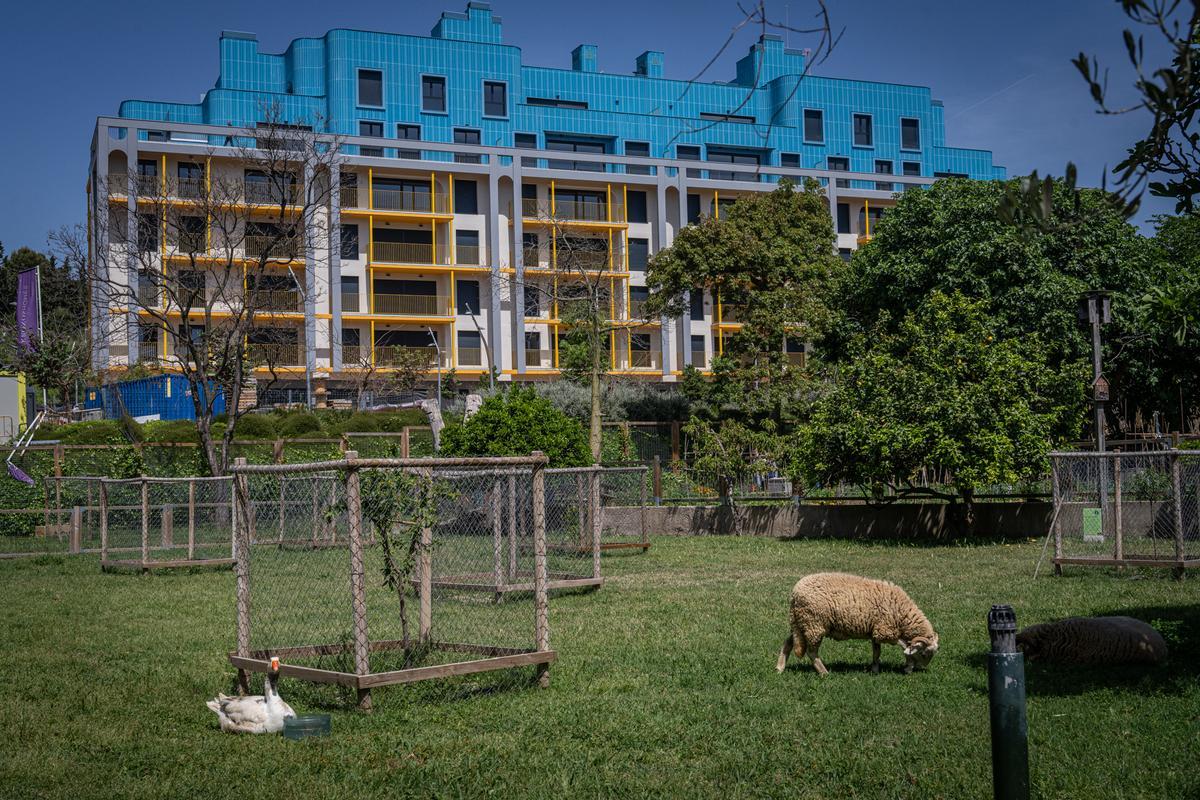 Masia Can Mestres y huerto urbano, uno de los espacios del Open Barri de Primavera en La Marina, que abre sus puertas dentro del Open House insólito en la Zona Franca.