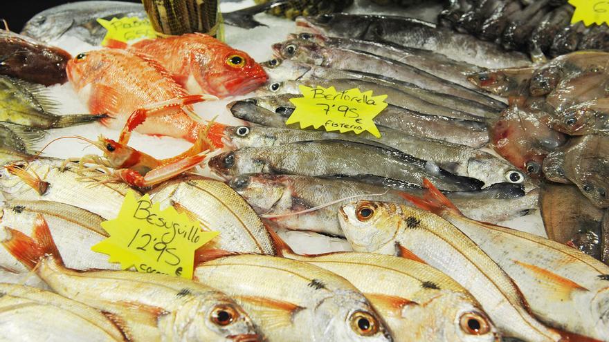 Los tres pescados que los médicos piden que no comas: son muy malos