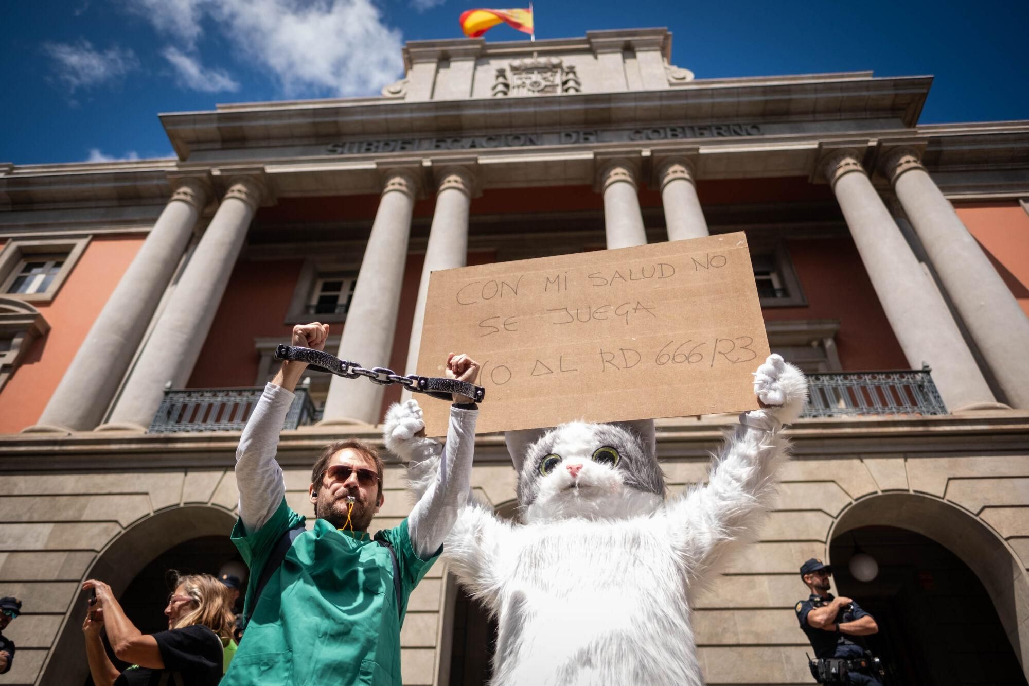 Los veterinarios  de Tenerife se manifiestan contra el decreto que les impide suministrar antibióticos a las mascotas.