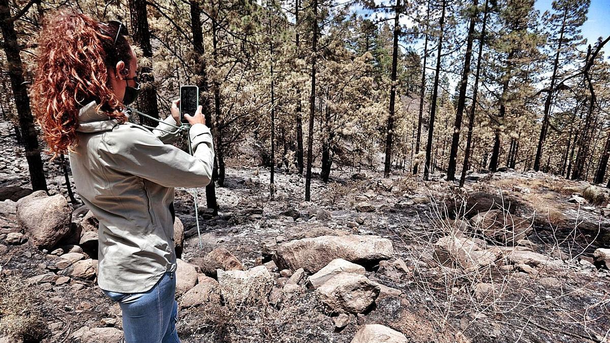 Incendio de Arico. | | MARÍA PISACA