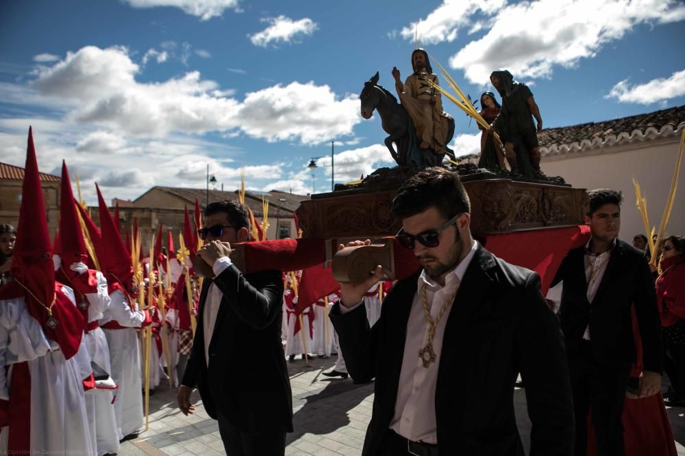 Semana Santa 2018: Procesión de palmas Villaralbo