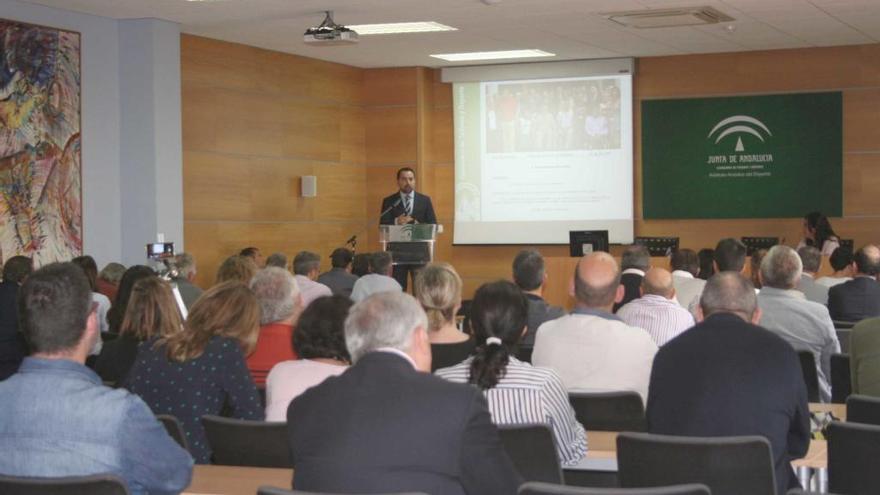 El encuentro fue celebrado ayer en el Instituto Andaluz del Deporte, con más de 60 representantes de colectivos y asociaciones.