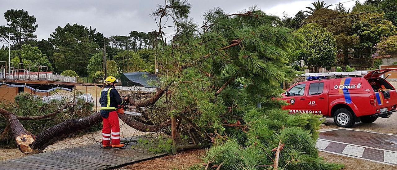 Emergencias retira los árboles caídos y los que están a punto de desplomarse.