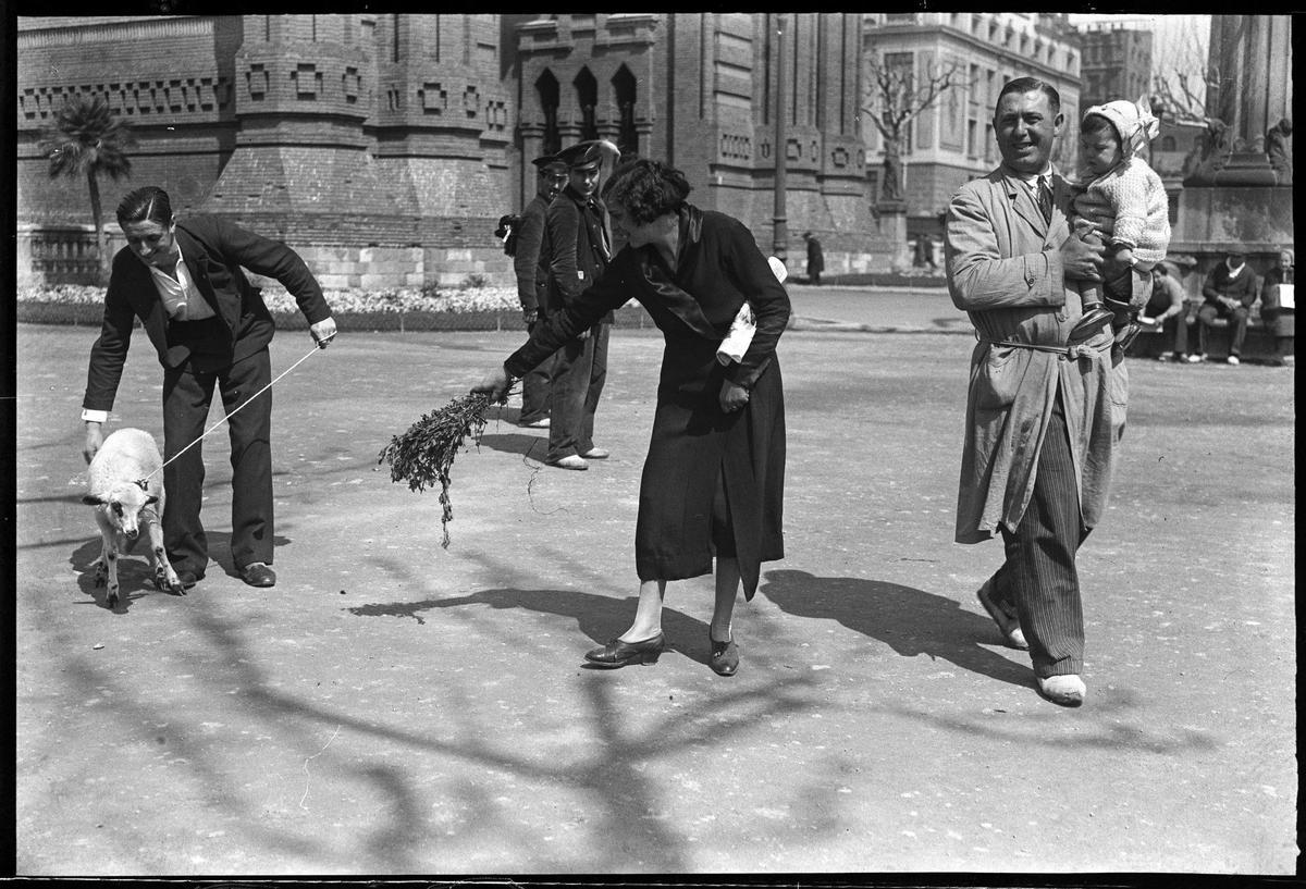 Joan Andreu Puig Farran, Borrego resistiéndose. Feria del Cordero en el paseo de Sant Joan de Barcelona durante la celebración de la Pascua, abril de 1934. Archivo Fotográfico de Barcelona / Archivo Familia Puig Farran. © Arxiu Família Puig Farran. Plata en gelatina a partir de negativo de vidrio