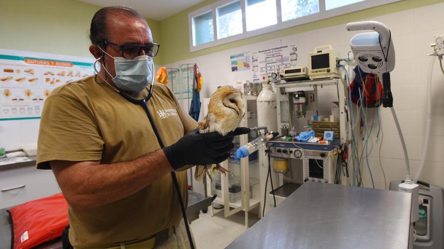 Los casos de gripe aviar en el Zoo de Córdoba siguen en ascenso y la vista está puesta en los Sotos de la Albolafia