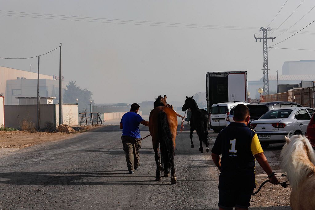 El incendio de la cuadra de caballo de Cartagena, en imágenes