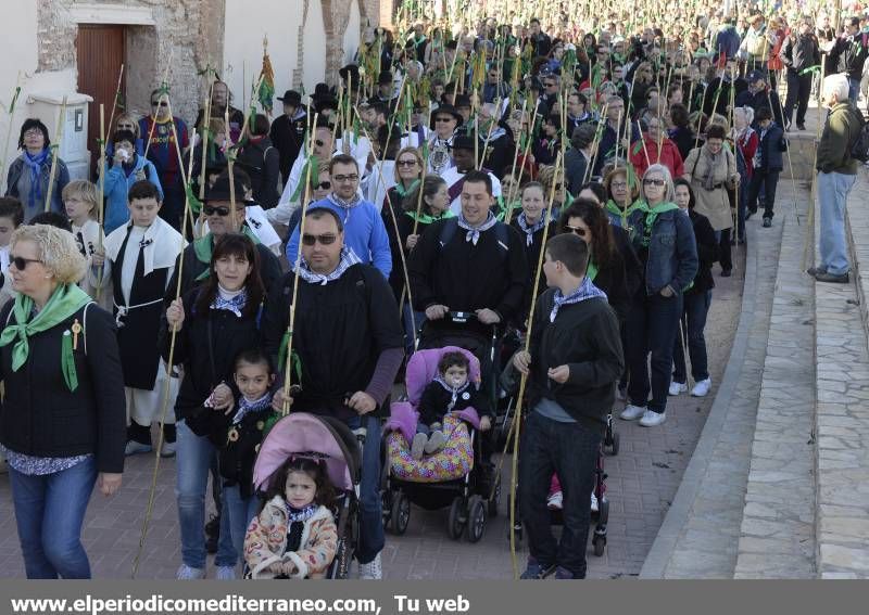 GALERÍA DE FOTOS - Romería Magdalena 2014 (5)