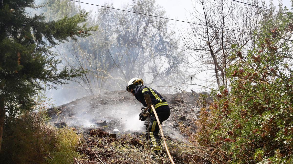 Efectivos de los bomberos extinguen un incendio de pastos en El Brillante.