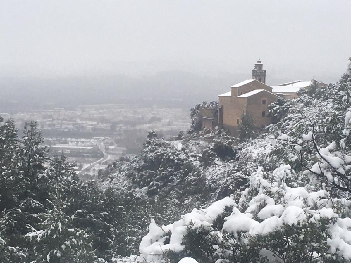 Las mejores imágenes de la borrasca Filomena en Castellón