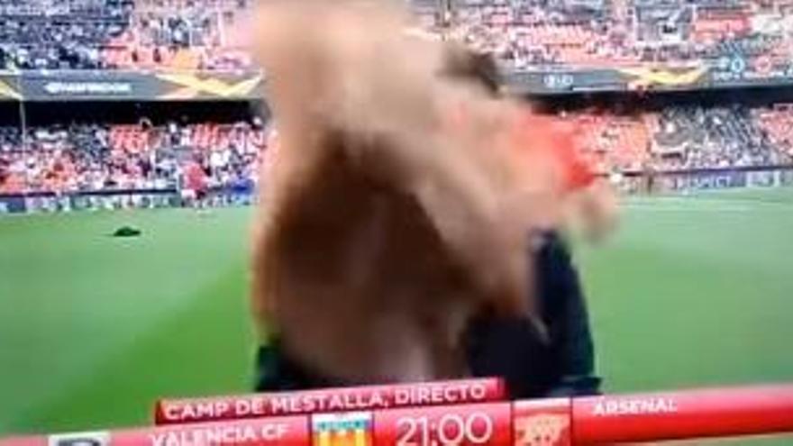 Así reacciona la periodista de Gol que recibió un balonazo en el Valencia-Arsenal