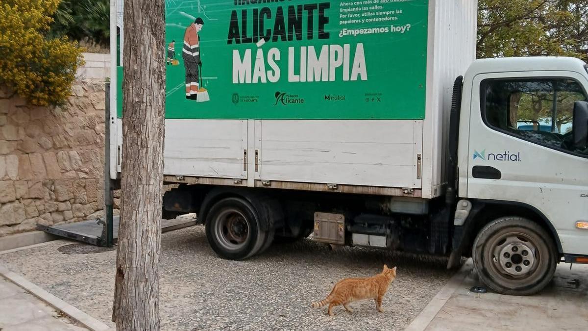 Polémica en Alicante por la retirada de comida y refugios para gatos en el parque de la Ereta