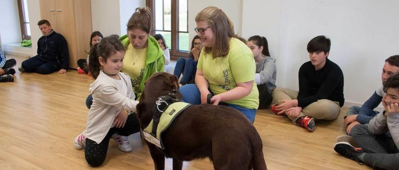 Laura Fernández aprende a acariciar a un perro acercándose a &quot;Tao&quot;.