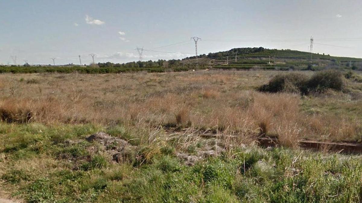 Terrenos de la Garrofera que ocupará la planta.