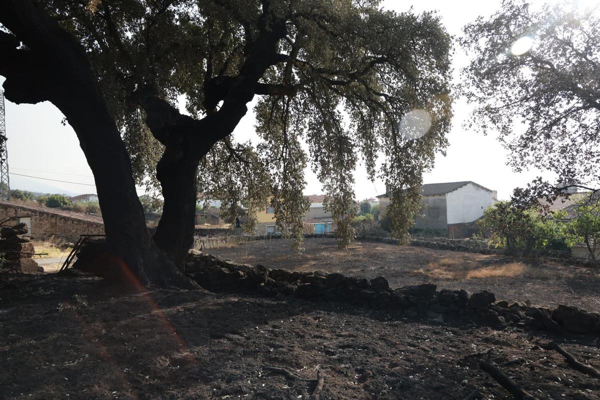 Fotogalería | Los vecinos vuelven a sus casas: así ha quedado Villar de Plasencia