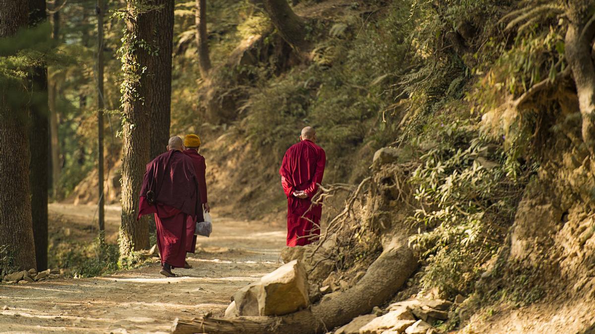 Dharamsala, la residencia en el exilio del Dalai Lama a los pies del Himalaya