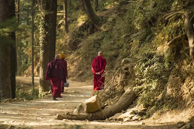 Dharamsala, la residencia en el exilio del Dalai Lama a los pies del Himalaya