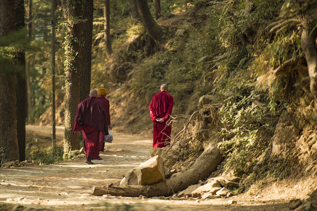 Monjes en un sendero en Dharamsala.