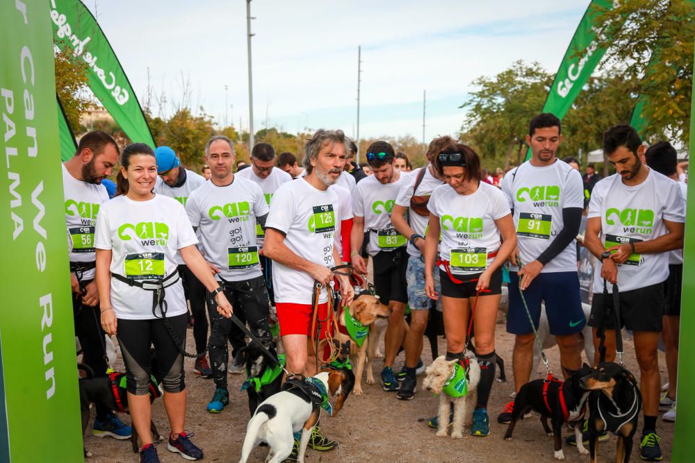 Can We Run Mallorca: So war das Hunderennen