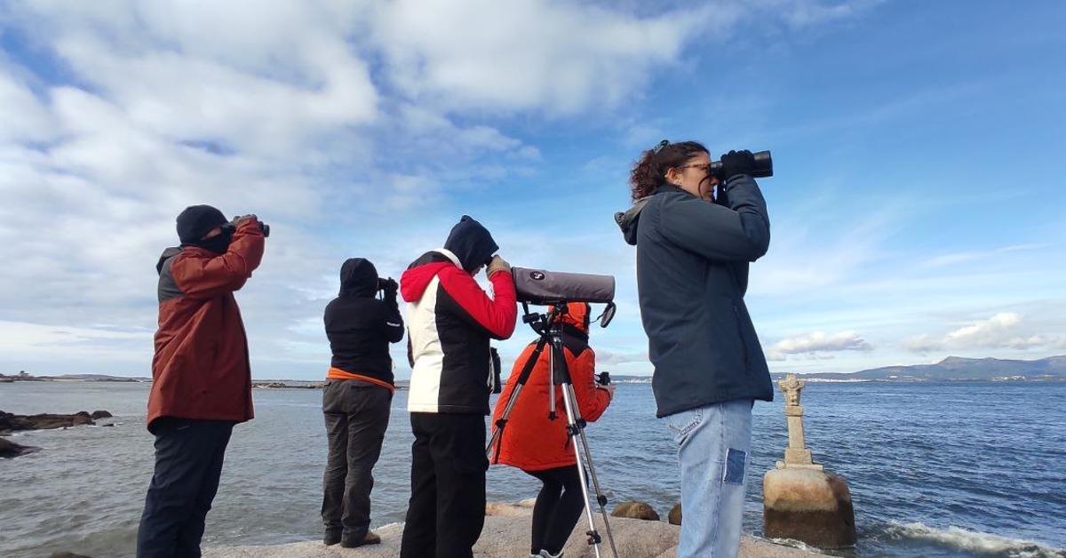 Seguimiento de los delfines desde la costa de O Grove.