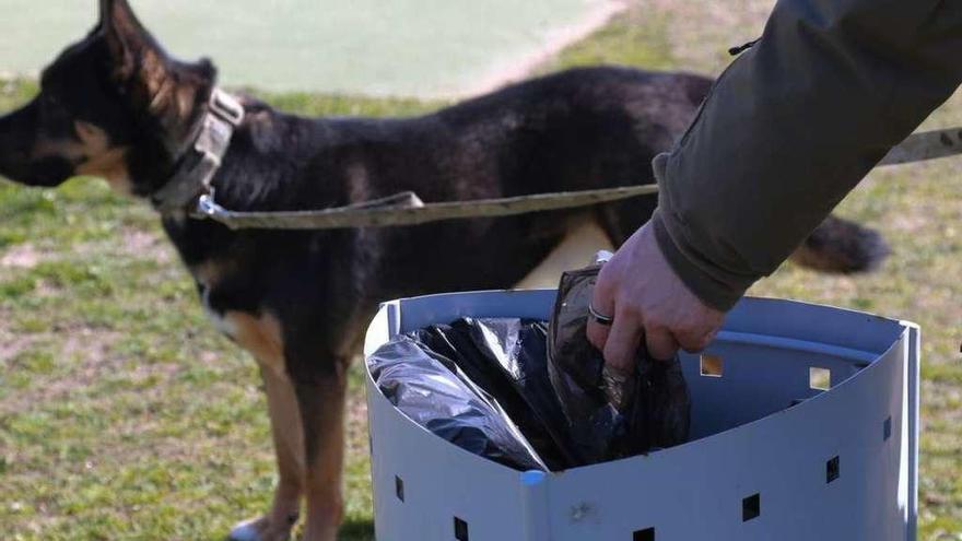 La ruta de las cacas de perro en este barrio de Zamora: &quot;Los jardines son campos de minas&quot;