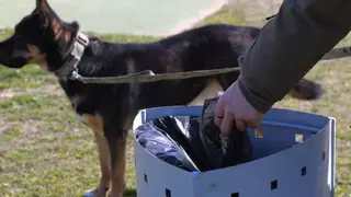 La ruta de las cacas de perro en este barrio de Zamora: "Los jardines son campos de minas"