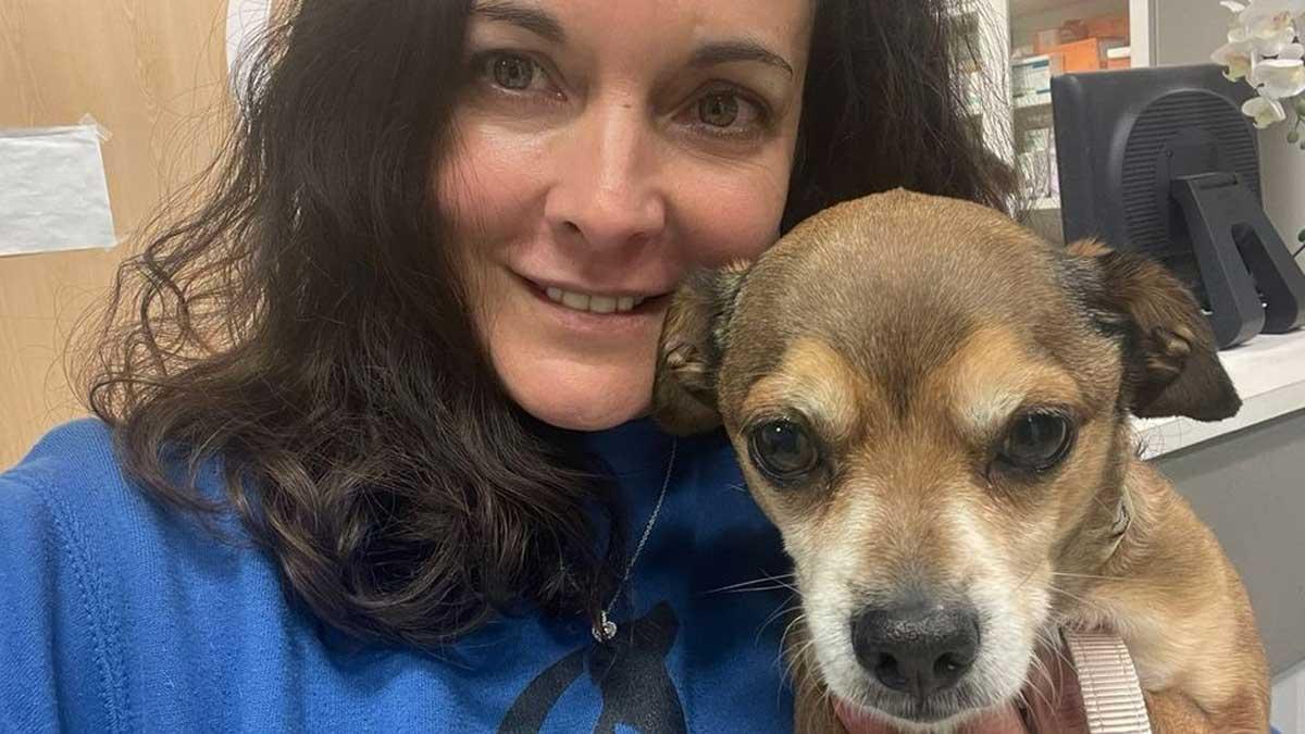 Allau de peticions per adoptar el Leo, el gos que va sobreviure al ganivet d’un parricida Allau de peticions per adoptar el Leo, el gos que va sobreviure al ganivet d’un parricida