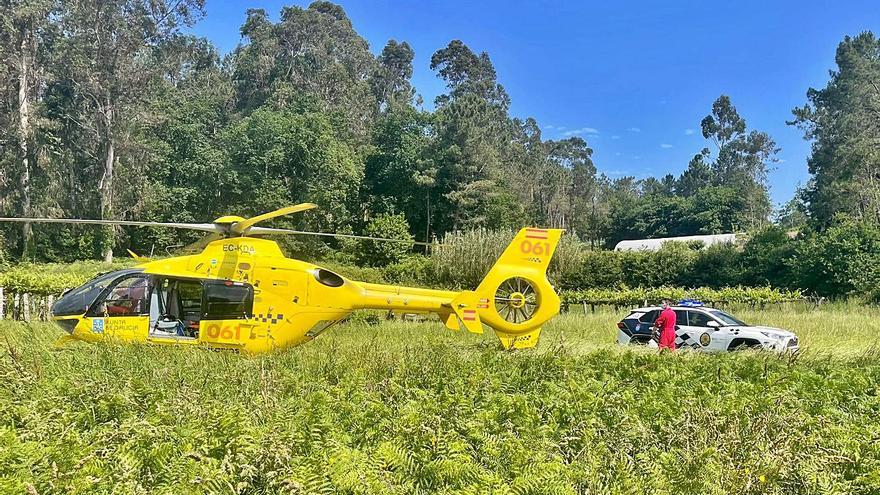 Muere un hombre en Tomiño tras recibir picaduras de avispas en brazos y piernas