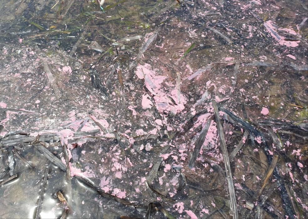 La playa de Bouzas, bañada por un manto rosado