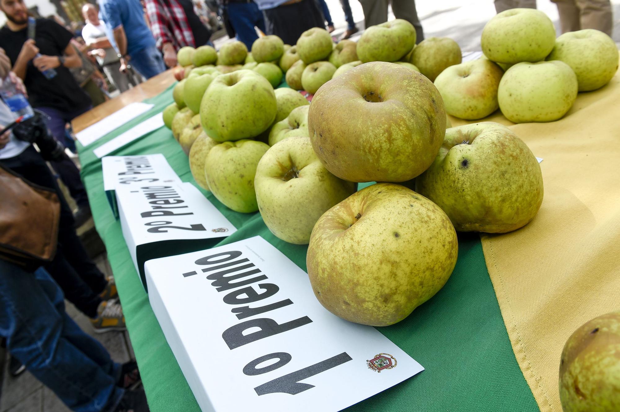 Fiestas de la manzana de Valleseco