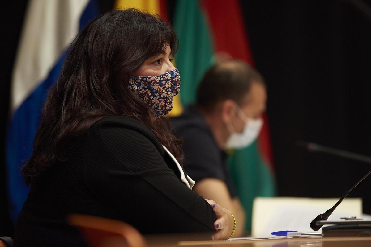 Pleno del Ayuntamiento de Arona, 26 de noviembre de 2020