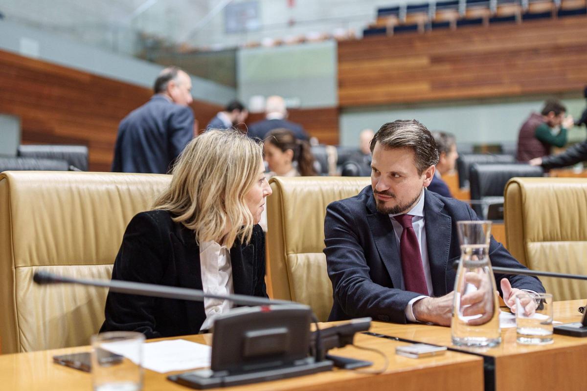 Fotogalería | Pleno de la Asamblea de Extremadura este jueves