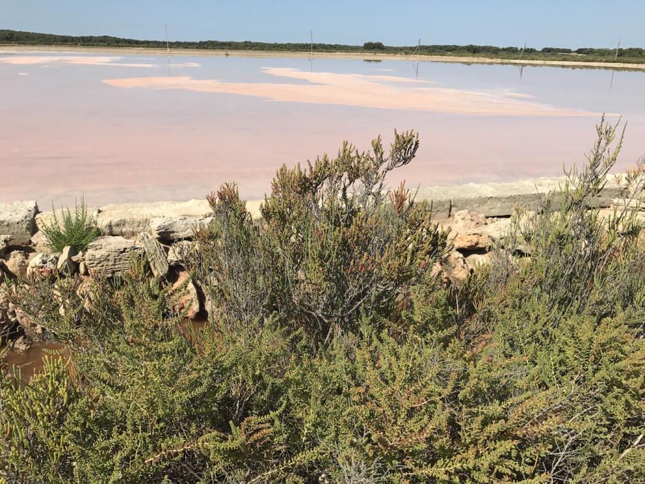 La presidenta Francina Armengol y el conseller Vicenç Vidal visitan el nuevo parque natural de es Trenc