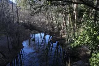 El silenci de la Muga