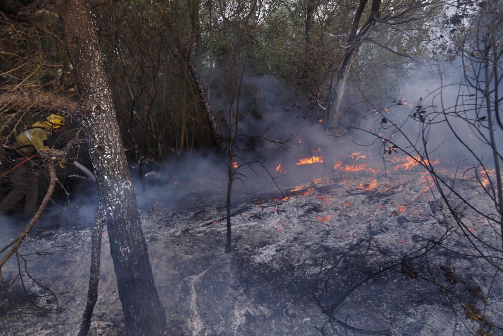 Incendi a Vilopriu