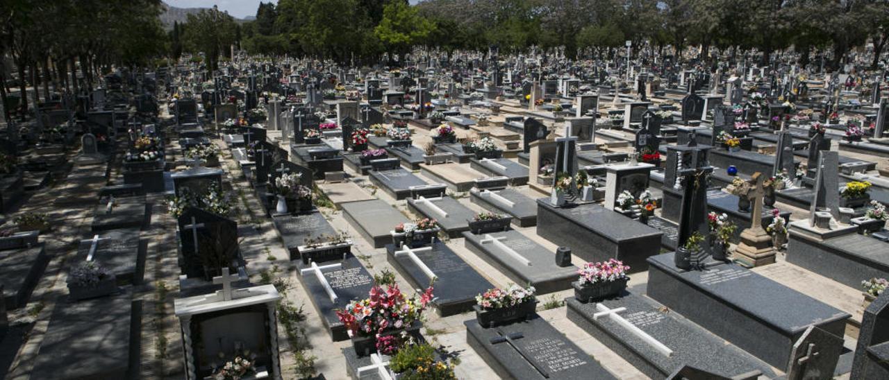 El Cementerio Nuestra Señora del Remedio de Alicante.