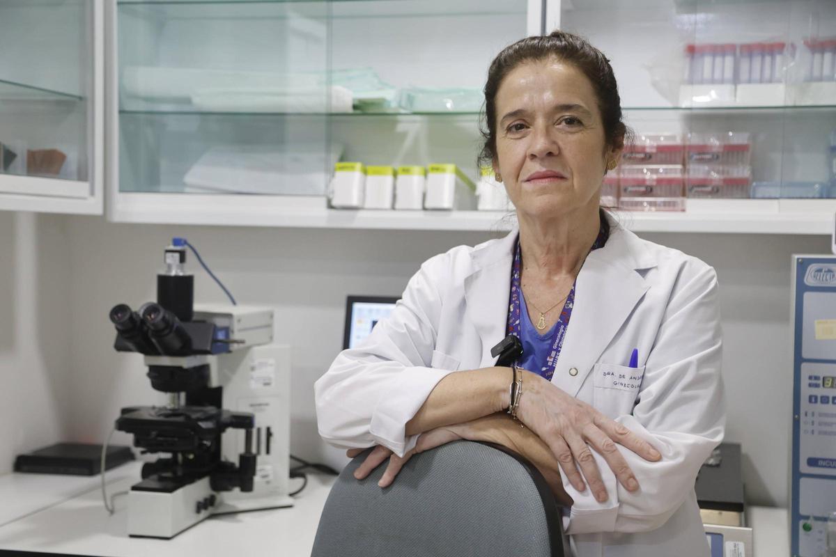 La doctora Montserrat de Andrés Cara, responsable de la Unidad de Reproducción Asistida del hospital Reina Sofía.