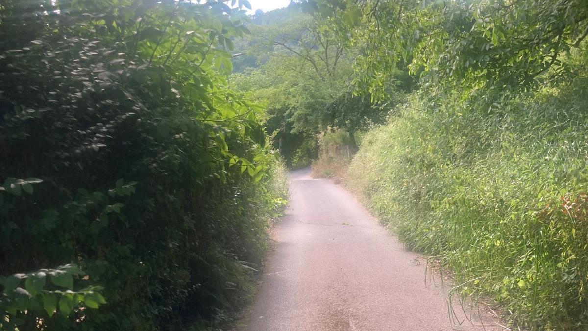 El estado de la carretera langreana.