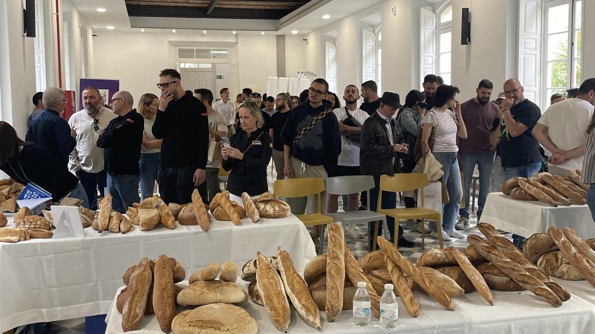 La Laguna acoge la última convocatoria nacional para elegir a los mejores panaderos y panaderas del país