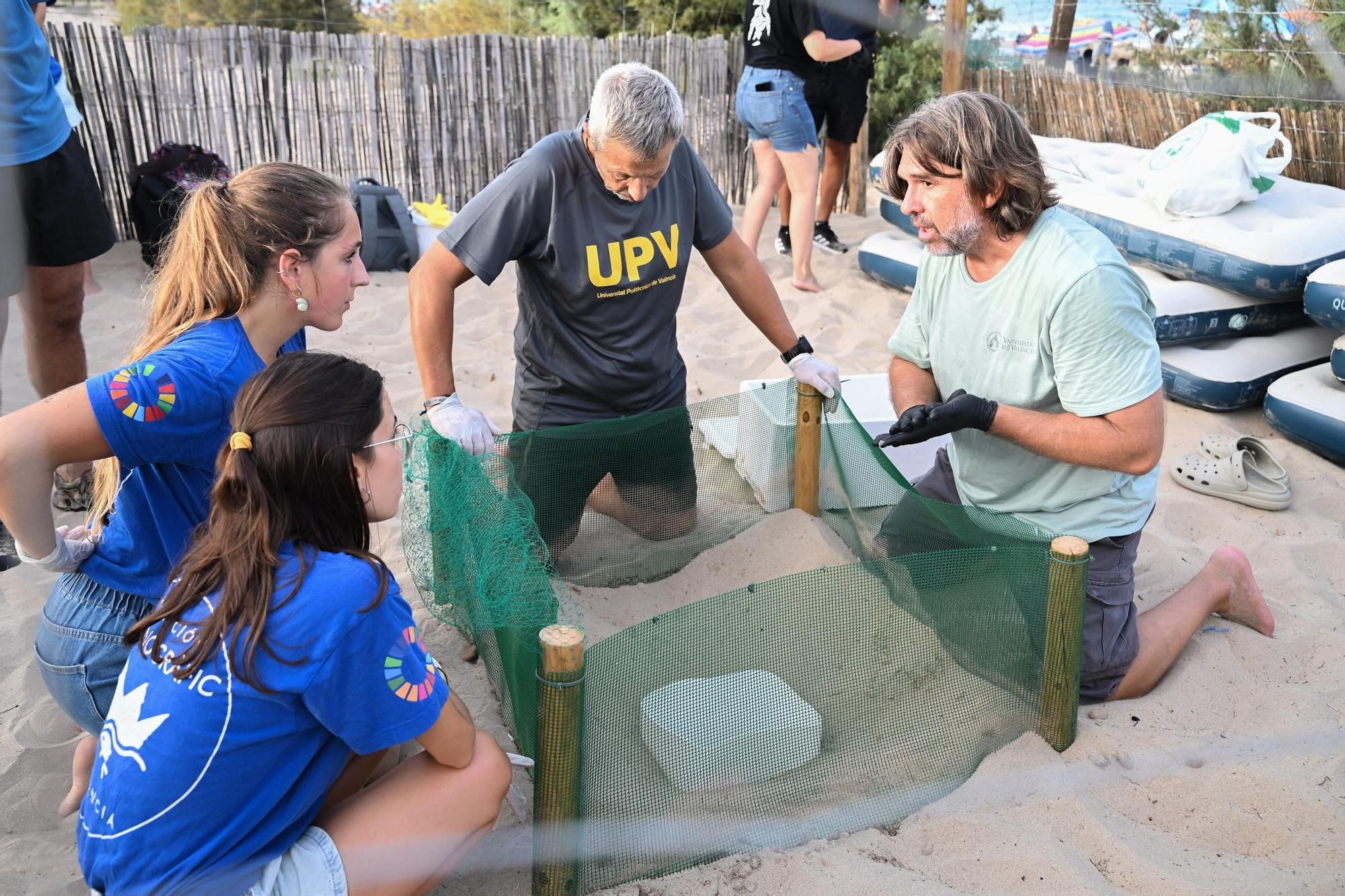Gran expectación en Arenales del Sol por la suelta de 57 tortugas bobas recién nacidas