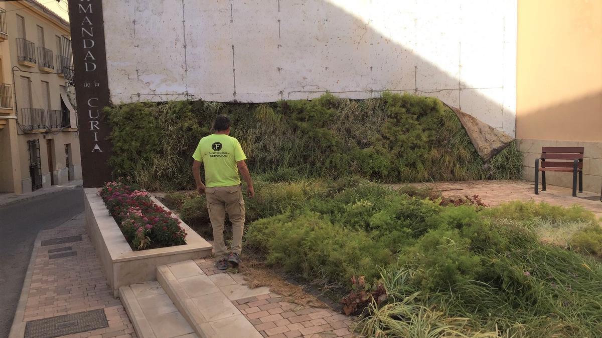 Un operario procedía a extender los distintos paños del jardín vertical en el suelo de la plaza antes de acordonar la zona, este jueves.