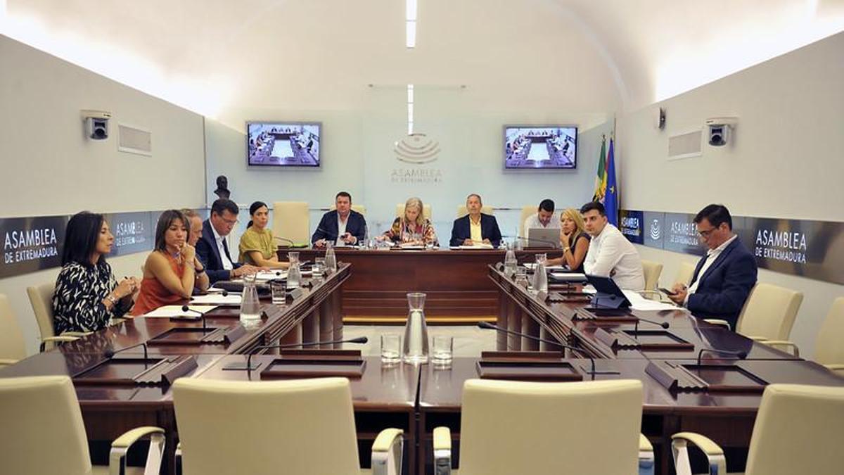 Comisión de Economía, Empleo y Transformación Digital de la Asamblea de Extremadura, este martes.